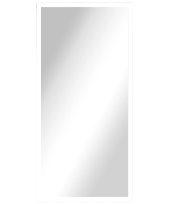 Alexa Full Length Salon Mirror & Frame