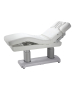 Silver Fox 2249 Ocili Electric Multi Purpose Facial & Massage Bed-image1