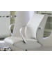 Belvedere Lioness Styling Chair-image2