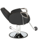 Venus Silver All Purpose Chair-image11
