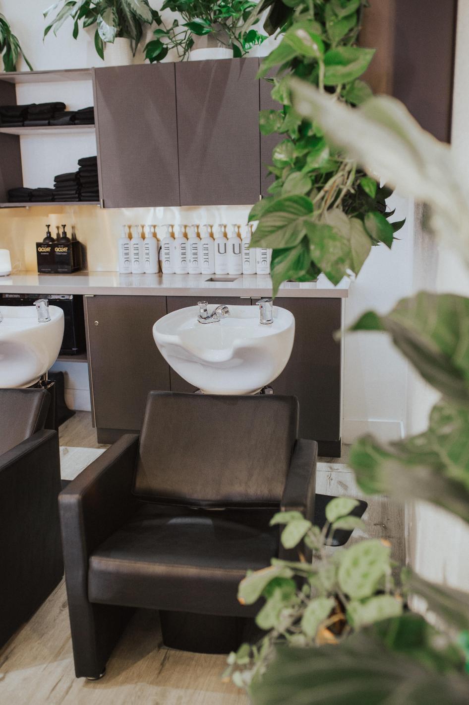 wildflower collective